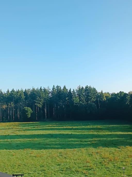 Gemuetliches Appartement Im Kottenforst Naehe Bonn 멕켄하임 외부 사진